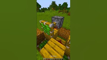 Minecraft Block Swapper 😵‍💫 (Die with a smile) #shorts #minecraft #camman18shorts