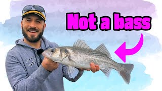 This is NOT a bass video!