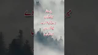 Best Islamic Quotes About ALLAH and His Mercy Part | ALLAH Quotes in Urdu | Quotes