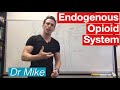 Analgesic Pathway | Endogenous Opioid System Mp3 Song