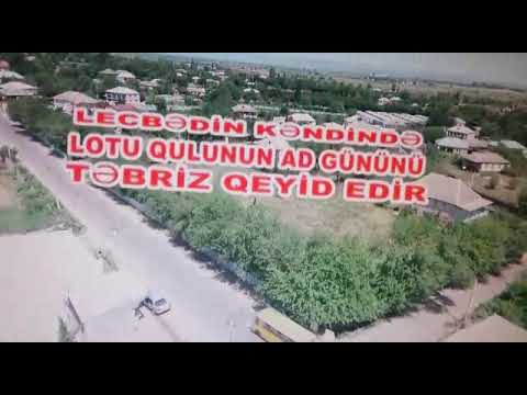 Lotu qulinin ad gününü akula tebriz qeyd edir