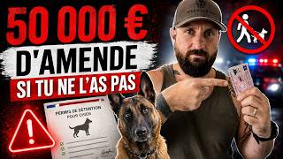 Dog ownership license for YouTube