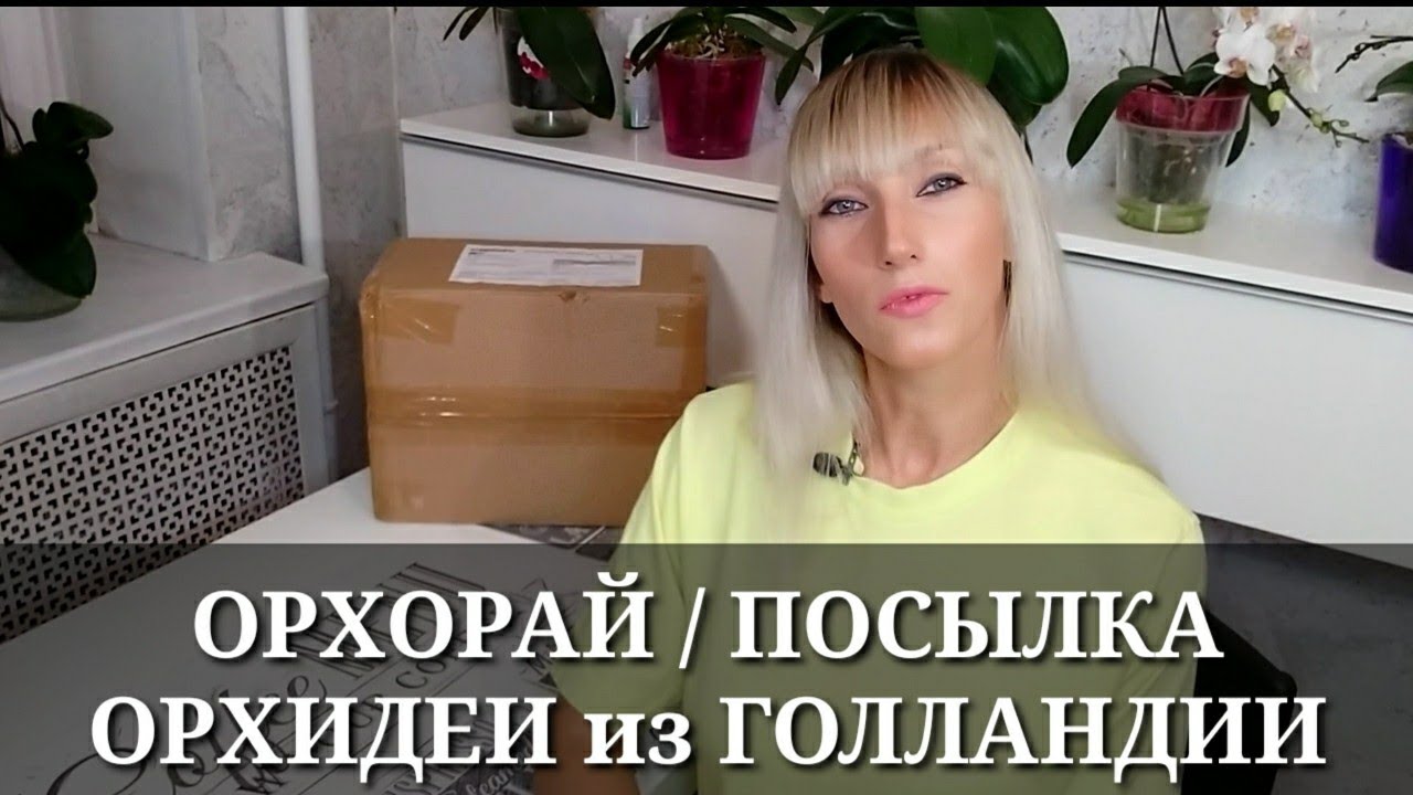 Орхорай Интернет Магазин Краснодар Орхорай Интернет Магазин Краснодар