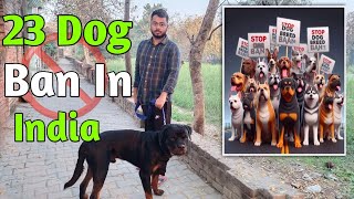 Rottweiler Ban  With 23 Other Dog | Breed Dog Ban | Vlog With David #rottweiler #dog #pitbull