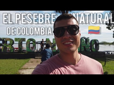 🐆 PUERTO NARIÑO - AMAZONAS 🇨🇴 así es EL PESEBRE NATURAL DEL COLOMBIA