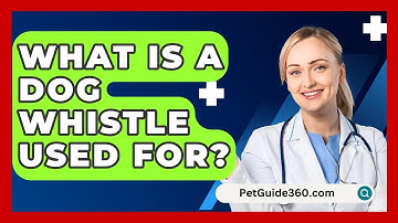 What Is A Dog Whistle Used For? - PetGuide360.com