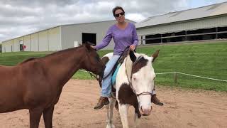 Immersion Testimonial - Traci