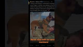Even while she slept, her K9 never stopped protecting her 🐾🇺🇸 #K9 #Loyalty #shorts