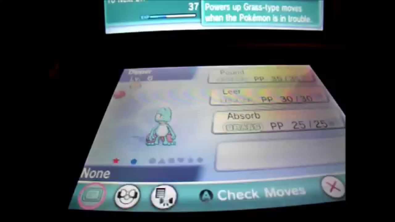 Pokemon ORAS SHINY STARTER (Treecko) YouTube