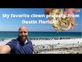 My favorite marc bailey clown project from florida