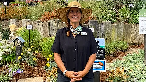 How to Create a Habitat for Wildlife in Your Garde...