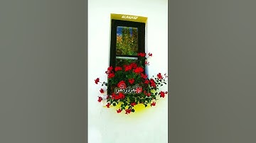 سورة المائدة || " وهذا كتاب أنزلناه مبارك فاتبعوه  "❤.