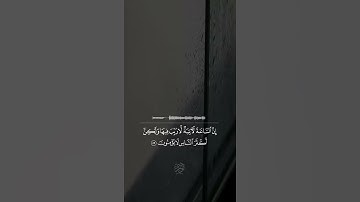 تلاوة للقارئ عمـر الدريويز - حـالات واتساب✨.