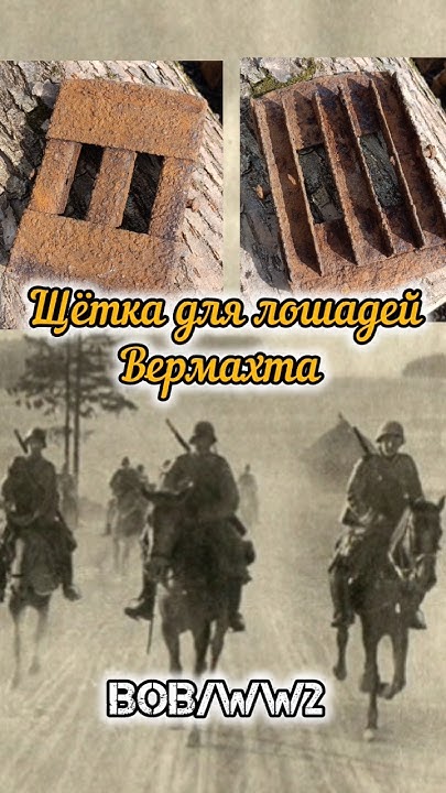 щётка для лошадей Вермахта ВОВ #shorts #ww2 #вов #копповойне # ...