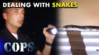 Unwanted Guest: Petersburg Police Handle Porch Snake 🐍 | Cops TV Show