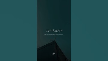 أَفَلَمۡ يَنظُرُوٓاْ إِلَى ٱلسَّمَآءِ فَوۡقَهُمۡ | الطبيب أحمد نعينع | سورة ق