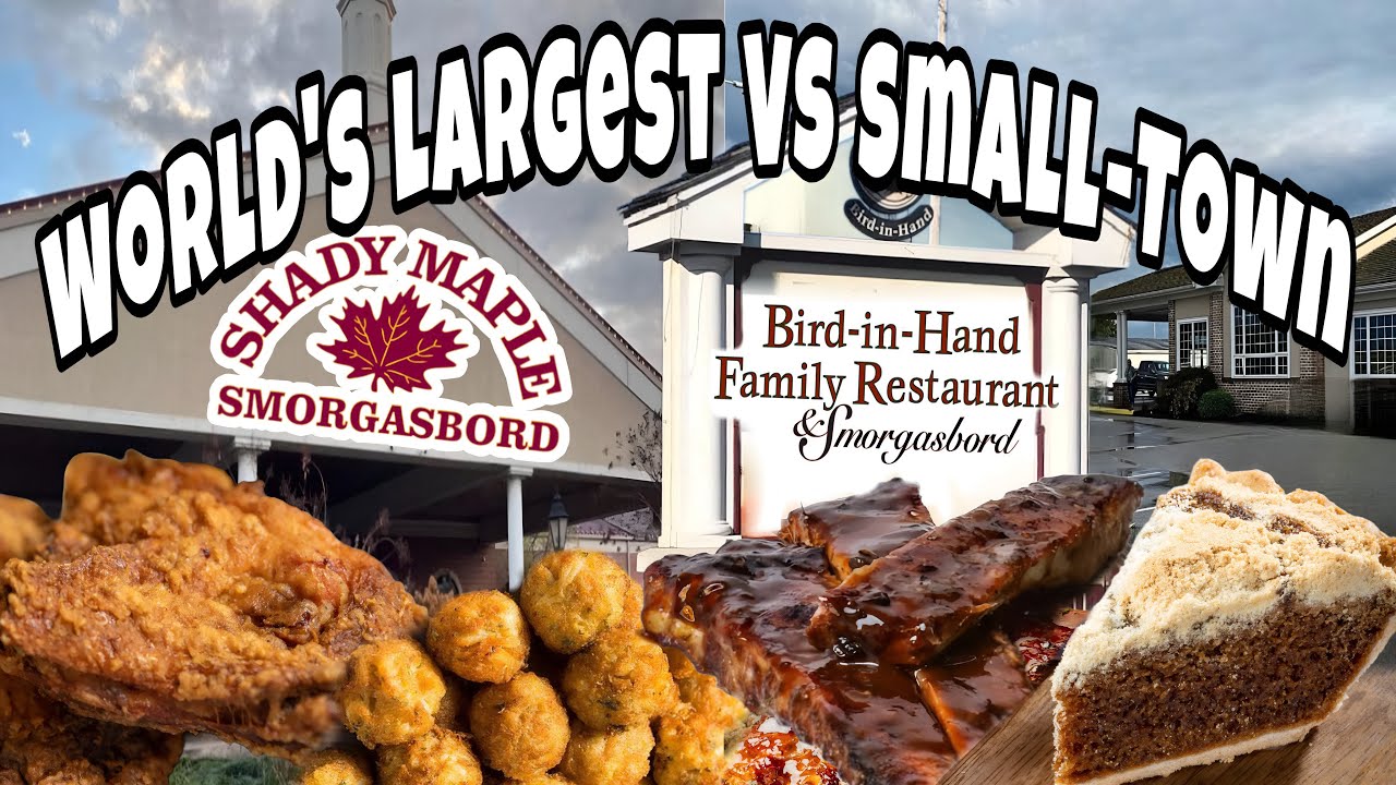 All-You-Can-Eat Buffet Showdown — World’s Largest vs Small-Town