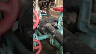 850 KW back pressure steam turbine 😲🔥 | Part of steam turbine #viralvideo #youtubevideo