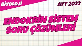 AYT Biyoloji - Endokrin Sistem Soru Çözümleri  | AYT Biyoloji 2022 #hedefekoş