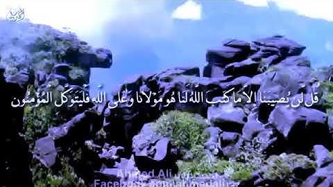 اليوم الجمعة جمعه مباركه عليكم لا تنسوا سوره الكهف لاتنسوني من دعائكم 😢