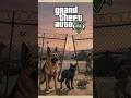 GTA 5: Dog, Cat and Mouse Try to Survive the Military Base Attack! #gta5