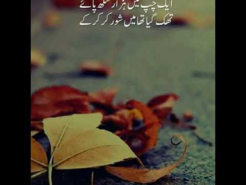 Bina Tere Na Ek Pal Ho