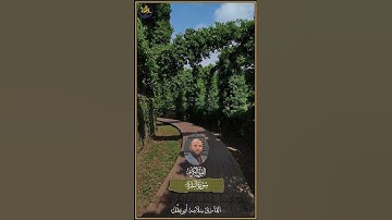 ما تيسر من سورة البقرة - القارئ سلامه أبو عقل