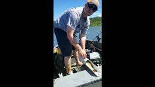 The Fishing Tube Fish Measuring Instructions