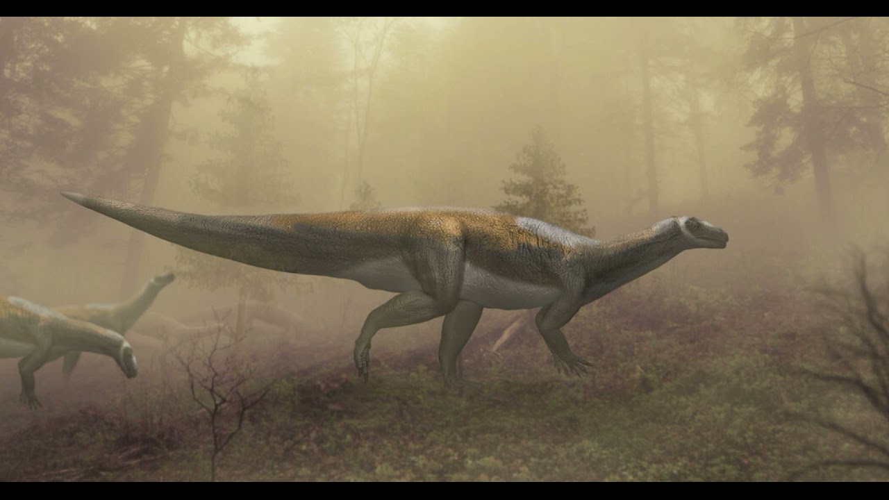 Stunning Trove of Jurassic Fossils Is Earliest Evidence of Herd Behavior in Dinosaurs