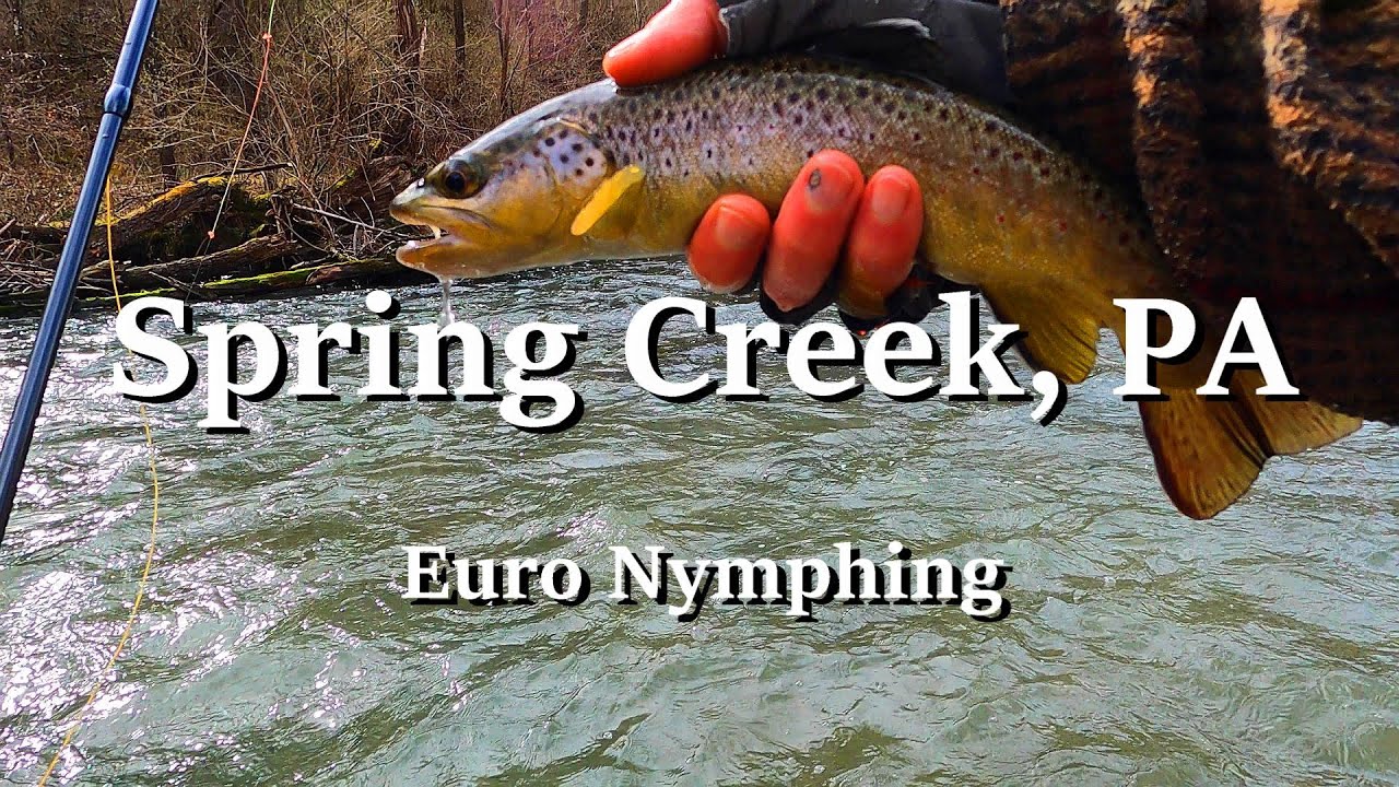 Spring Creek PA Euro Nymphing 