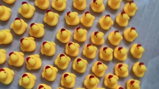 The Hart Bathroom Ducks