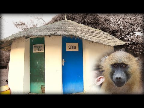 Os enseño la cocina del campamento
