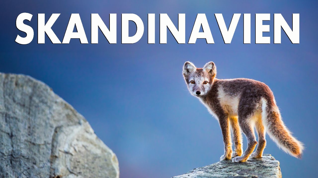 Skandinavien - Unberührte Wildnis