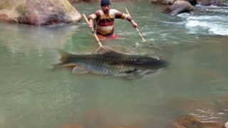 NYETRUM IKAN MAHSEER DI SUNGAI ARUS DERAS DAN ANGKER‼️DAPAT BANYAK🤯
