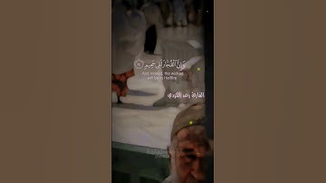 تلاوة من سورة المطففين🥀"إن الأبرار لفي نعيم🌹❤️" #راحة_وطمأنينة #تلاوة_هادئة - القارئ رعد الكردي