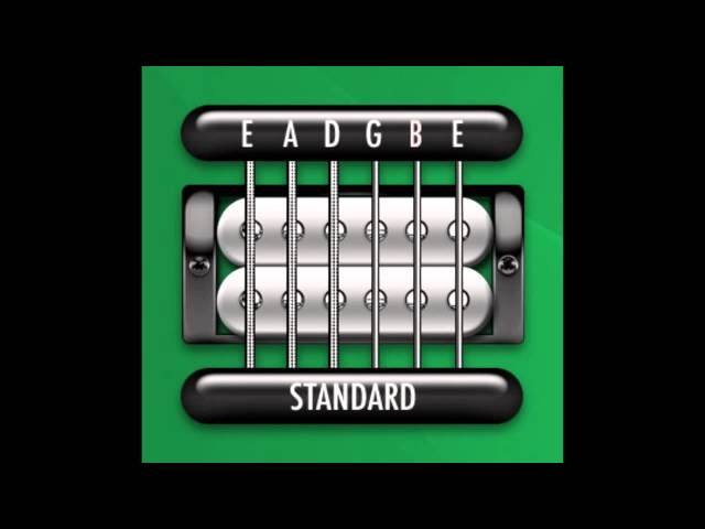 Perfect Guitar Tuner (E Standard = E A D G B E / QUICK VERSION) class=