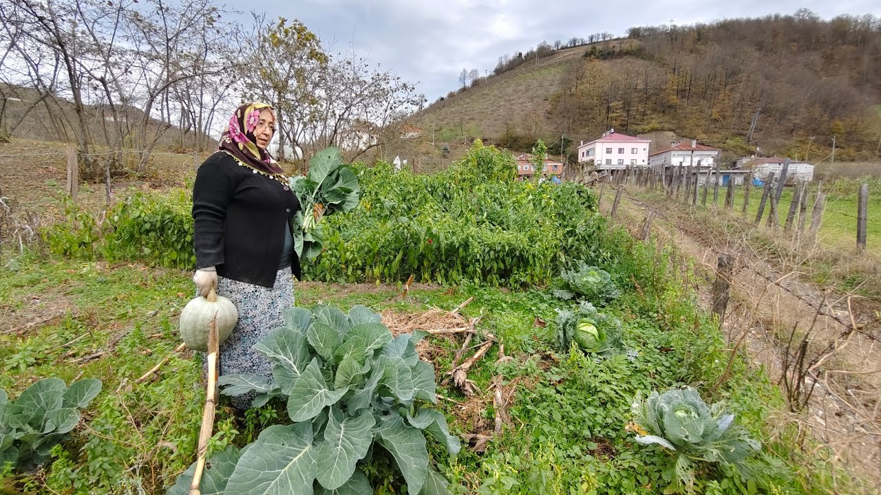 ☀️ Köyde Güneşli Kış Günü! Bahçe Temizliği ve Doğal Yaşam Vlogu 🌿🏡❄️