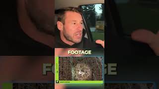 The wild sights that thermal drones uncover