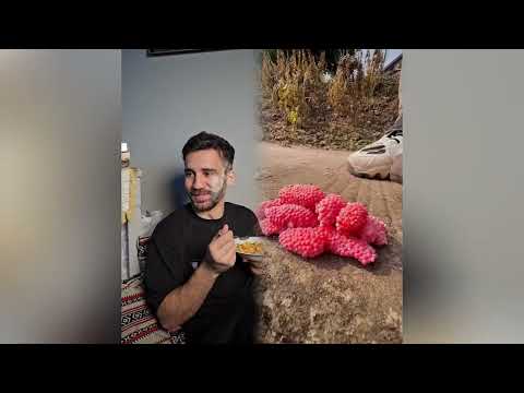 مجموعة مقاطع مجنونة من وجهة نظر 2025 يجب مشاهدتها فكاهة    