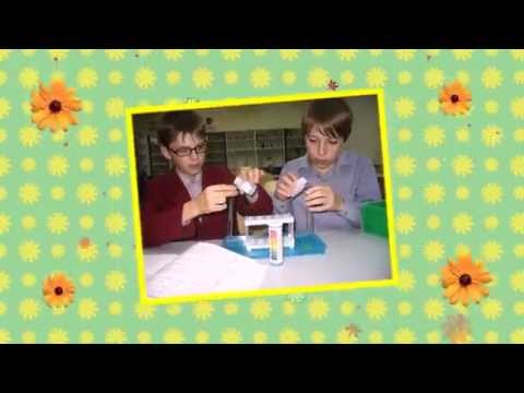 Как выбирать развивающие игрушки для детей?