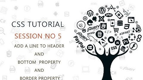 CASE CADING STYLE SHEET   5   ADD A LINE TO HEADER AND BOTTOM PROPERTY AND BORDER PROPERTY