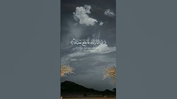 القارئ ياسر الدوسري ماتيسر من القرآن الكريم #اذكار #اكسبلور #المصحف #قران_كريم #راحة_نفسية #تذكار