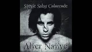 What Do I Have To Do To Prove My Love To You - Stevie Salas Colorcode (Marva Whitney Cover)