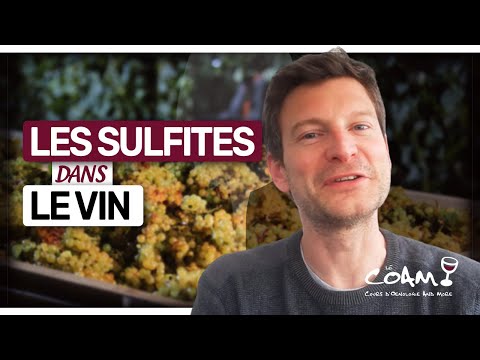 Vidéo: Vous rafraîchissez le sauternes ?