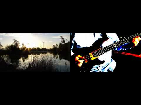 MORNING LIGHTS - Gibson Les Paul - VGS Cobra Bass ...