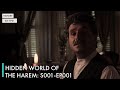 Hidden World Of The Harem S01 EP01