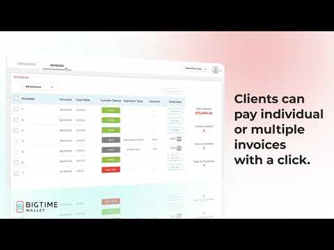 BigTime Wallet Client Portal