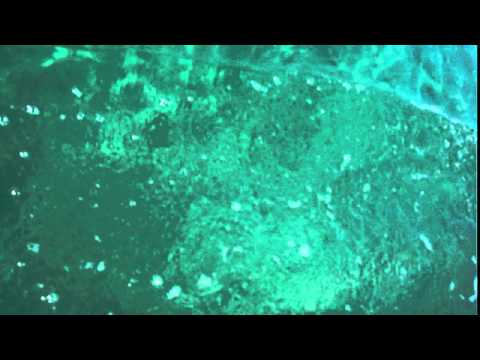 DSCF6048