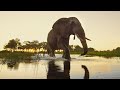 Protecting the Okavango Ecosystem | National Geographic