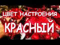 КРАСНЫЙ ЦВЕТ КРАСНАЯ МОСКВА МОЙ КРАСНЫЙ ОПЫТ =) ПОЗДРАВЛЯЮ ВСЕХ С ДНЕМ ГОРОДА!!!